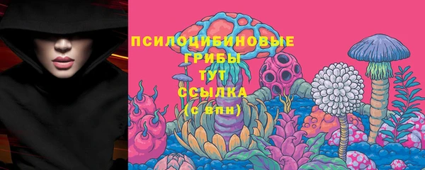 прущие крисы Бугульма