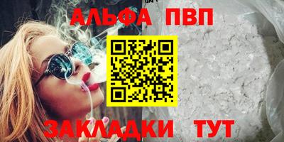 дмт Гай
