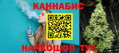 дмт Гай