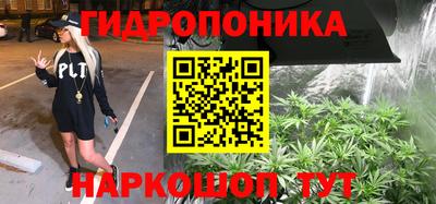 дмт Гай