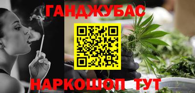 дмт Гай
