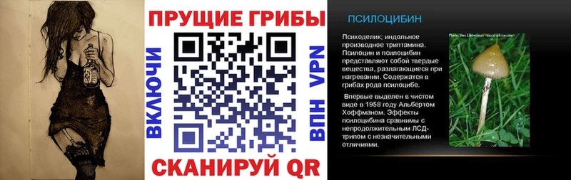 Псилоцибиновые грибы мухоморы  наркошоп  Грозный 