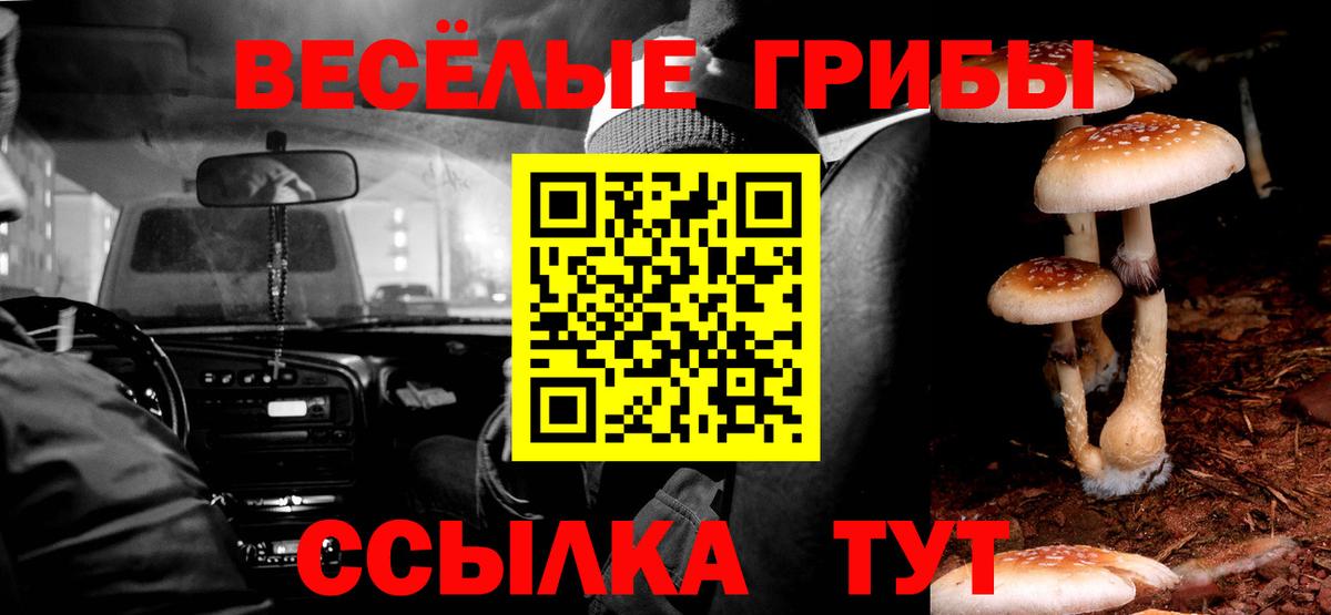 Псилоцибиновые грибы мухоморы  Вход с VPN  Грозный  Галлюциногенные грибы Cubensis 