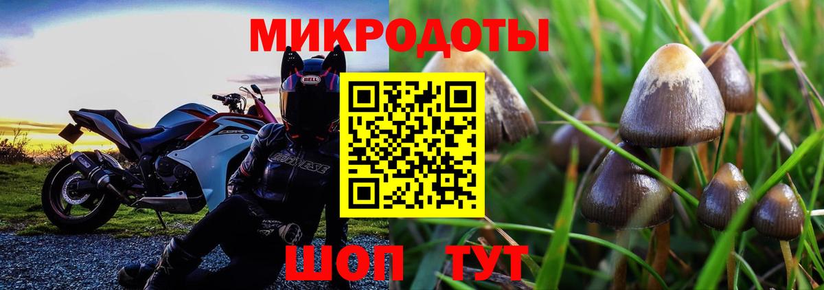 Псилоцибиновые грибы Magic Shrooms Грозный