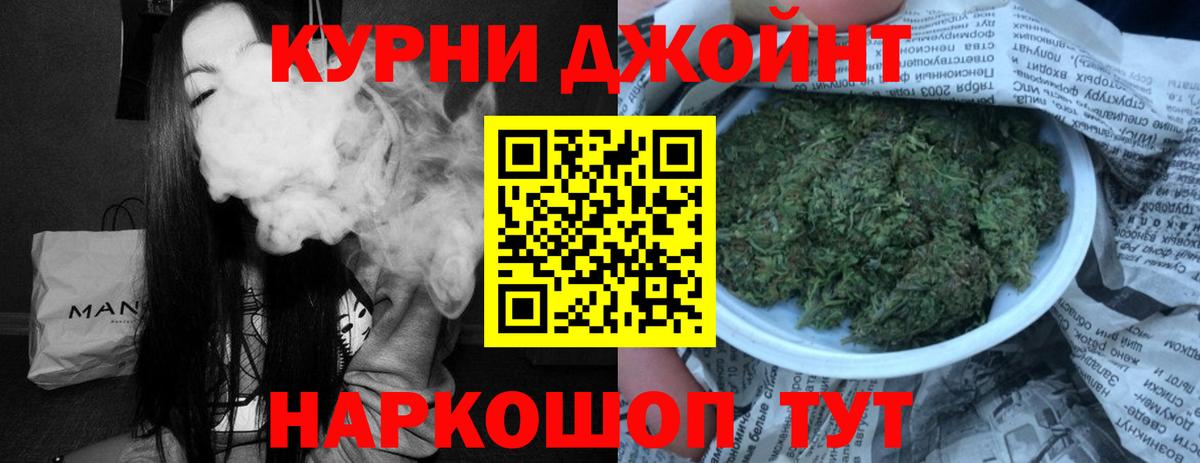 Бошки Шишки индика Грозный